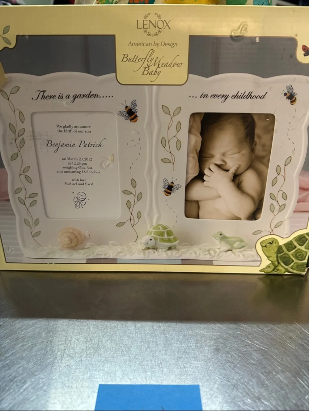 Lenox Butterfly Meadow Baby Double Frame in Cream and Green Accents